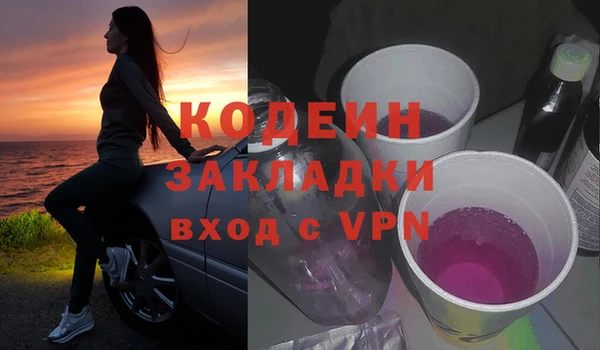 крисы Бородино