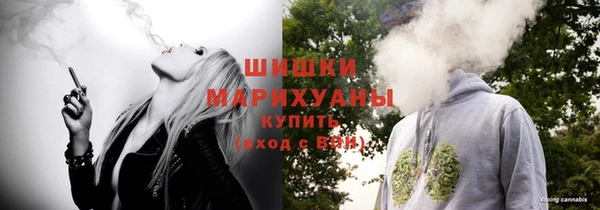 крисы Бородино
