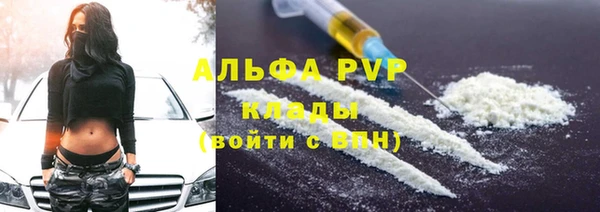 крисы Бородино