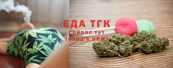 крисы Бородино
