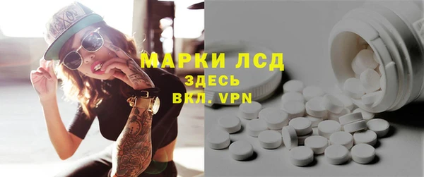 крисы Бородино