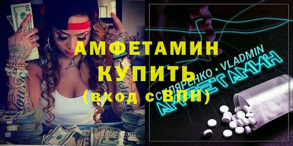 крисы Бородино
