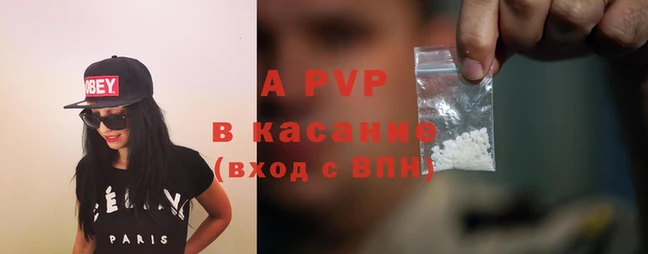 крисы Бородино