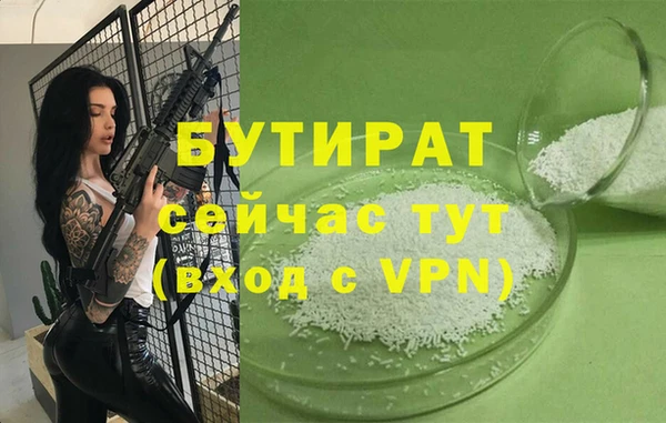 крисы Бородино