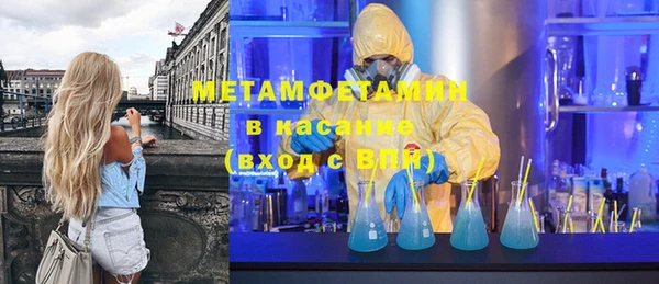 крисы Бородино
