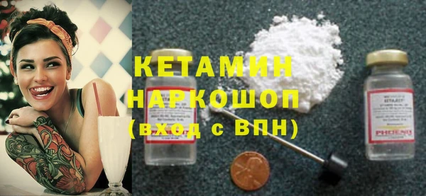 крисы Бородино