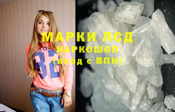 крисы Бородино