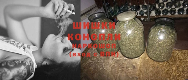 крисы Бородино