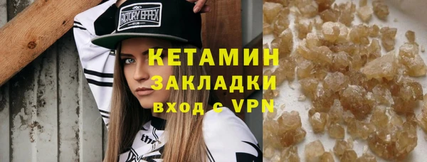 крисы Бородино