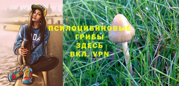 крисы Бородино
