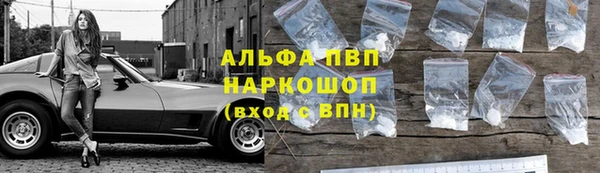 крисы Бородино